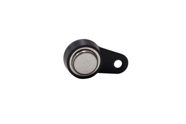 Loxone Elektronische Sleutel - iButton magnetisch - 200070