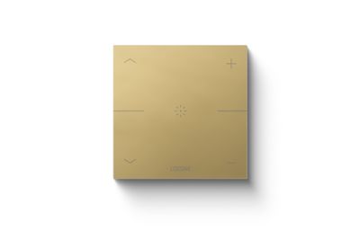 Loxone Touch Pure voor Nano goud