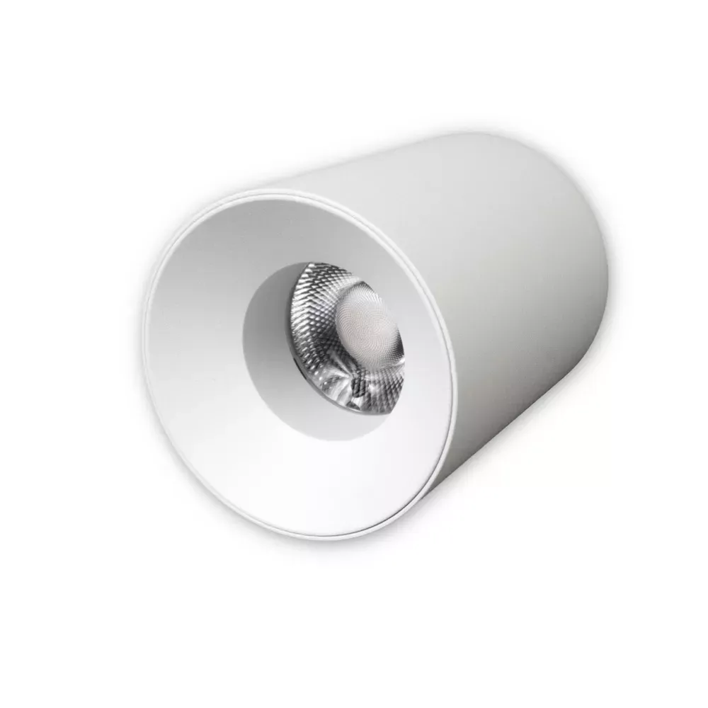 MINALOX SURFACE LED SPOTLIGHT D66 DualWhite 20W 24V 36° 1800-4500K WHITE Loxone dimbaar