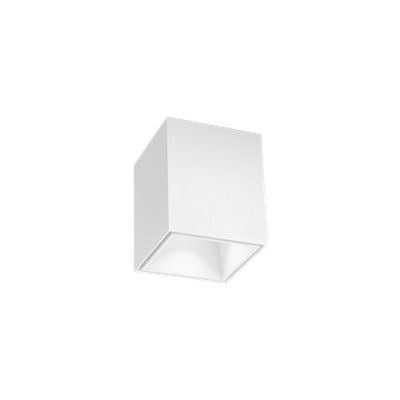 BOX mini 1.0 mat wit Loxone tree