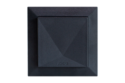 Loxone Room Climate Sensor Tree Anthracite (CO2, temperature, humidity)