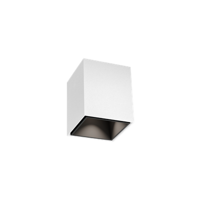 BOX mini 1.0 mat wit + mat zwart Loxone tree