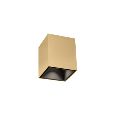 BOX mini 1.0 champagne + mat zwart Loxone tree