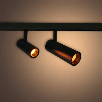 Lighting units for the magnetic track