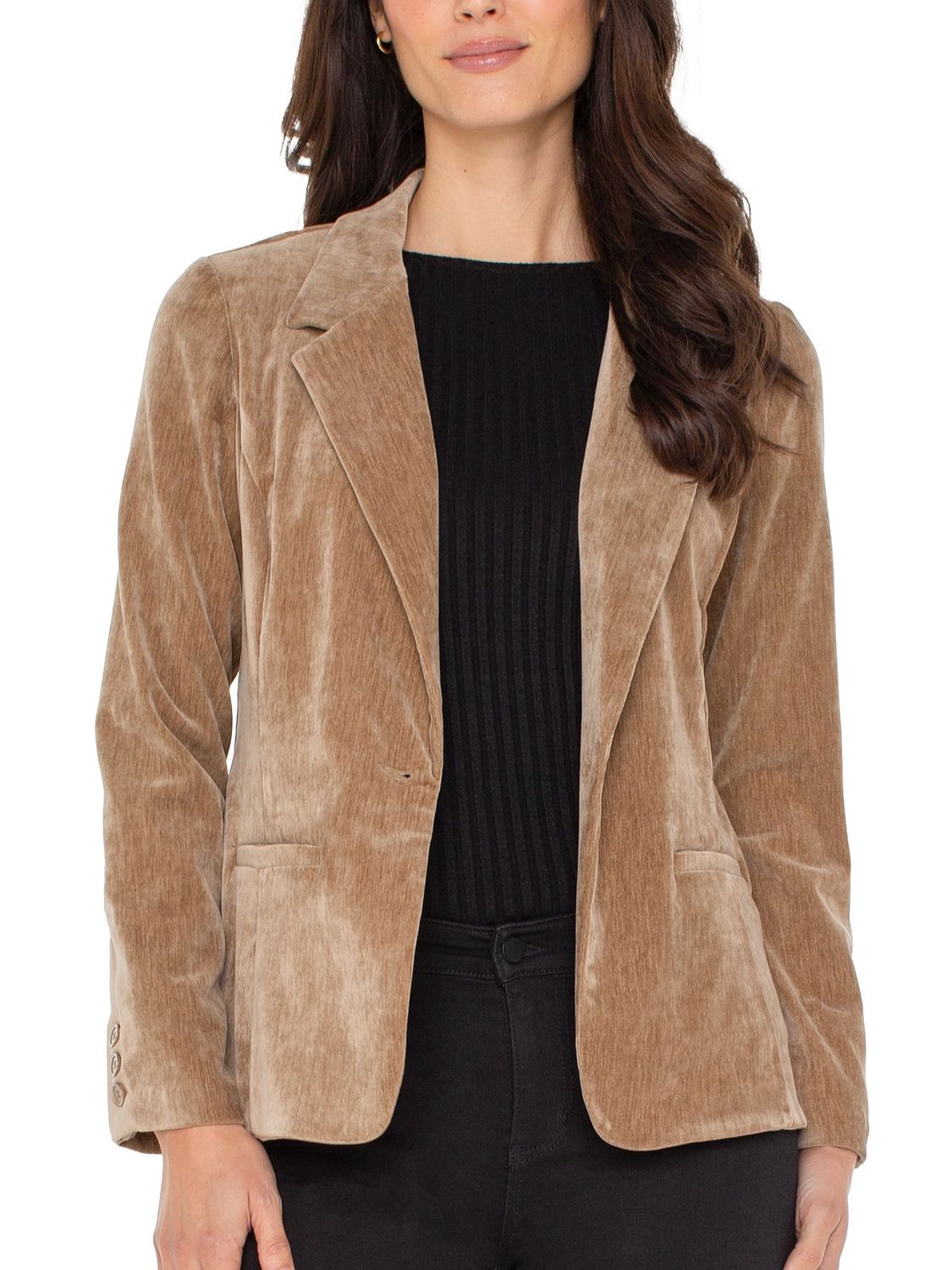 Velvet Fitted Blazer