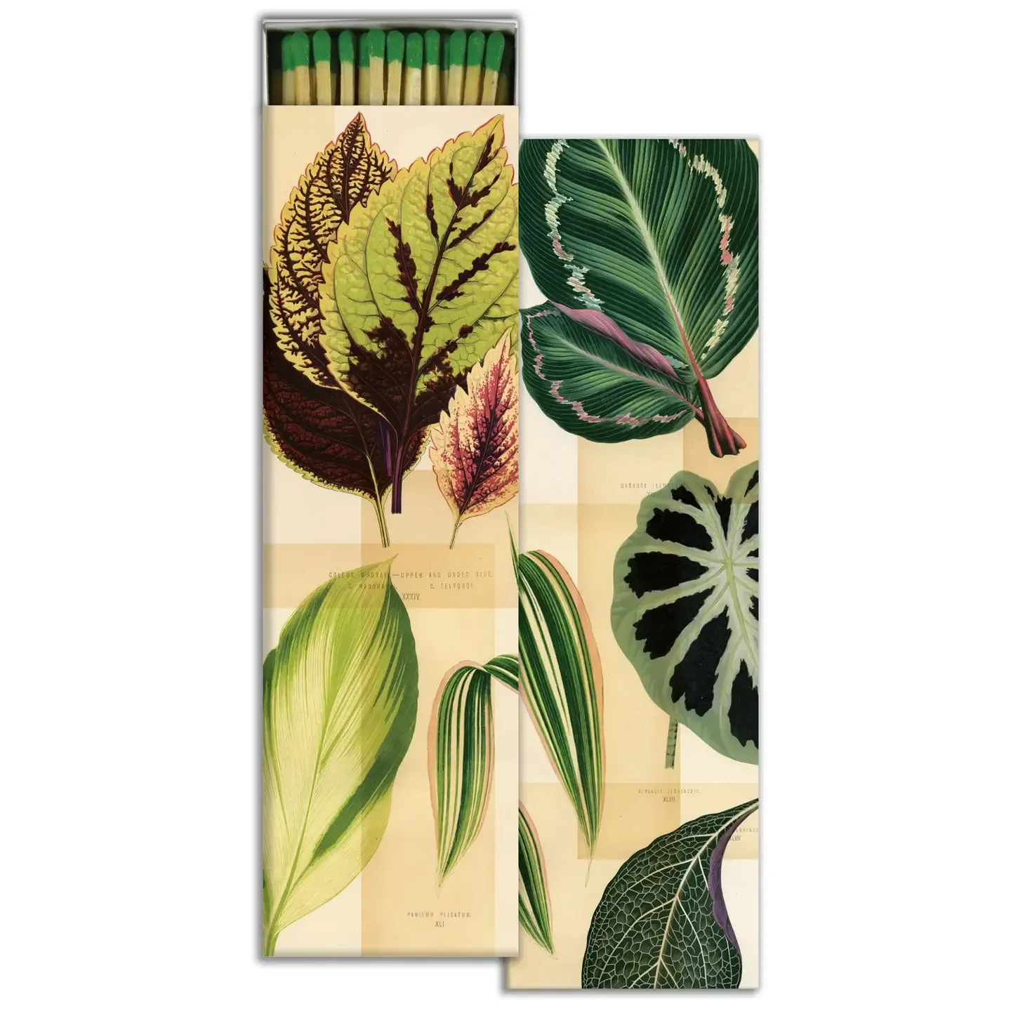 Long Matches (8.5")