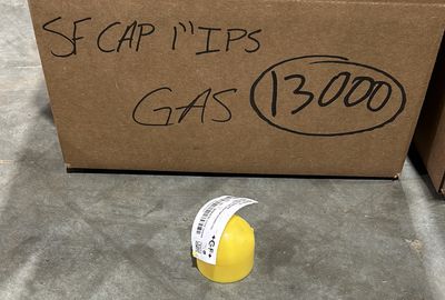 1&quot; IPS cap