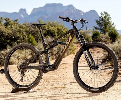 Salsa Moraine Cues 10 Ebike - 29", Aluminum, Coffee Black, Small