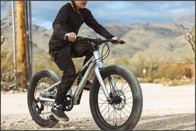 Batch - 20" MTB 8spd holographic