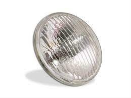 Mustang fog lamp globe