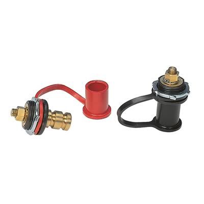Remote battery jumper terminals