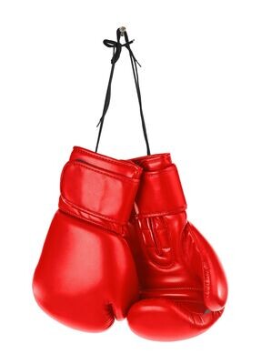 Other Sports Raw