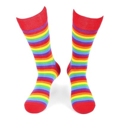 Rainbow Stripe Socks