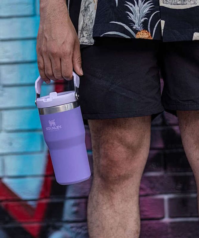 STANLEY THE ICEFLOW™ FLIP STRAW TUMBLER |20 oz