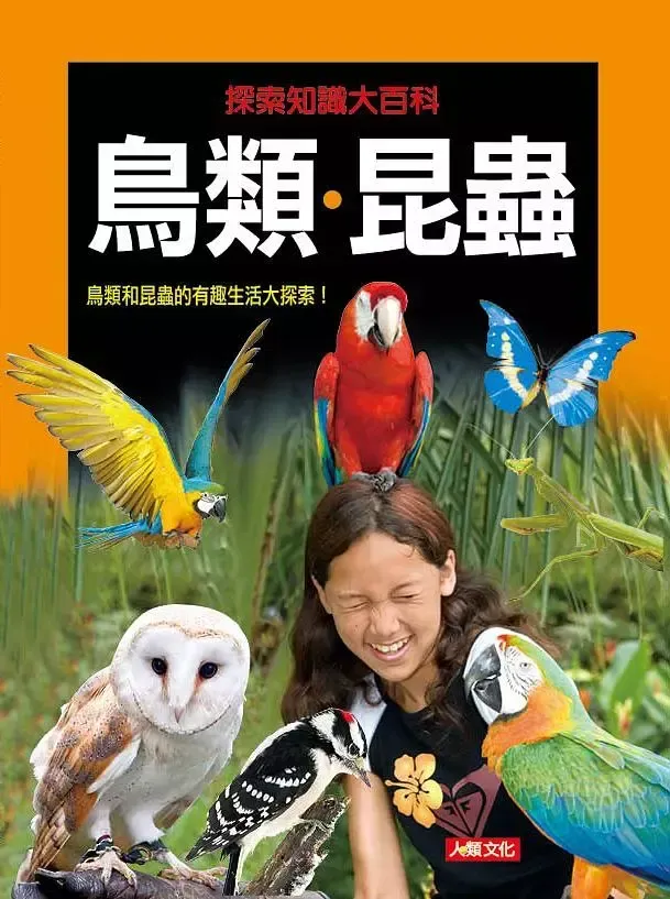 鳥類昆蟲