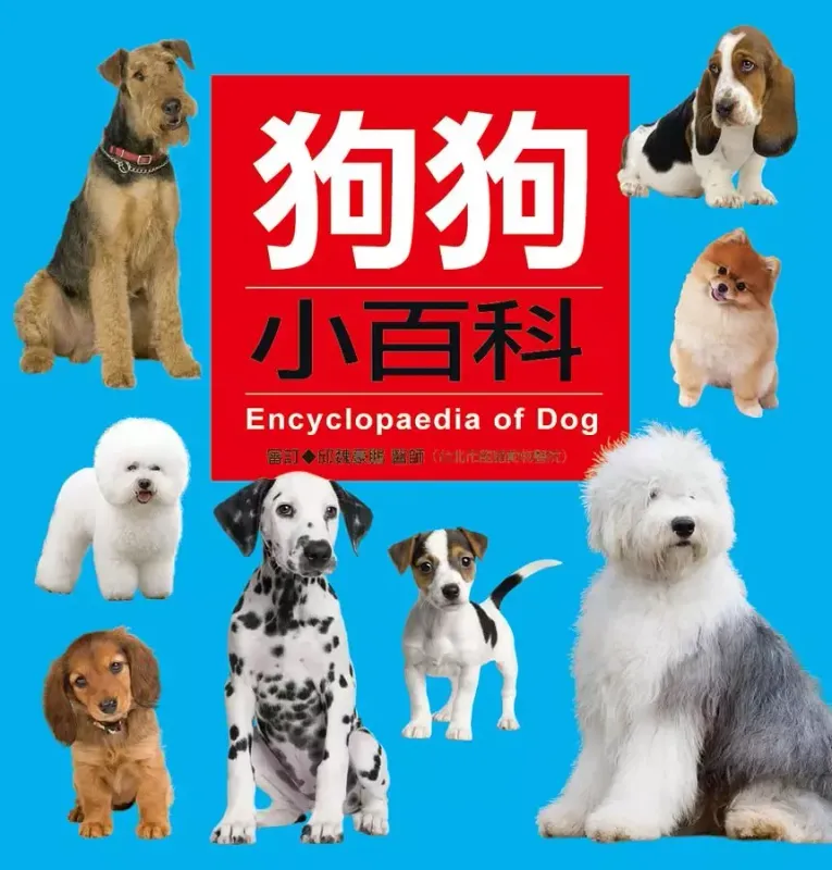狗狗小百科