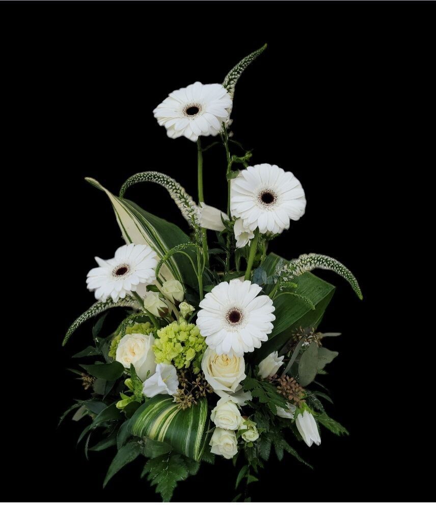 Eternal Grace: Modern White Gerbera Sympathy Arrangement