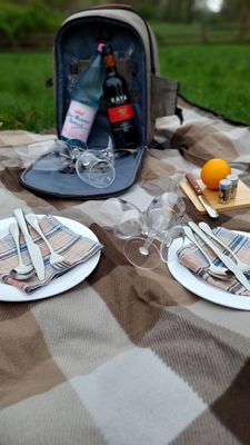 Picknick-Rucksack Basis-Version (ab € 19,90 pro Person)