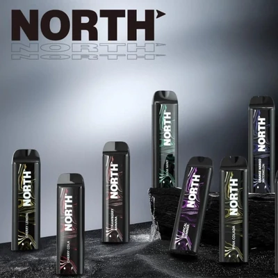 North 5000 Puffs Disposable-Display of 10