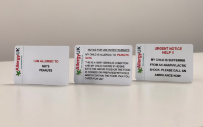 Cambodian Plastic Translation Cards