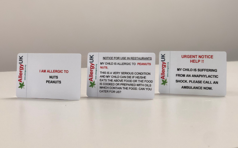 French Plastic Translation Cards