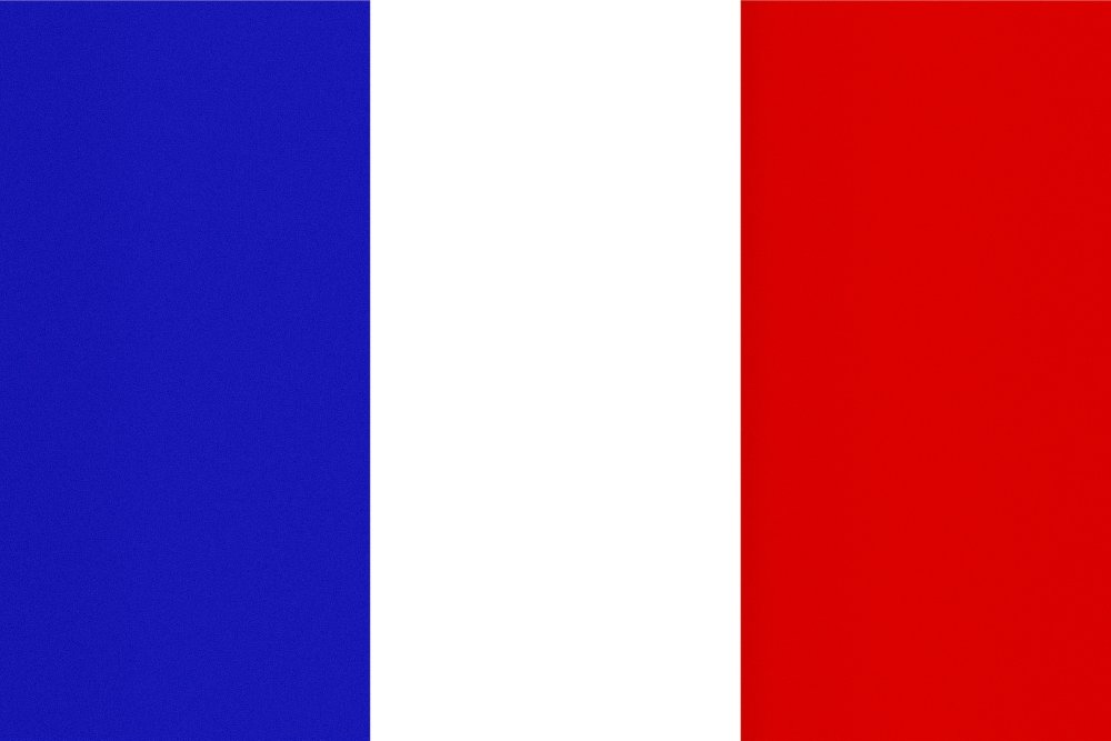 French Digital Translation Cards