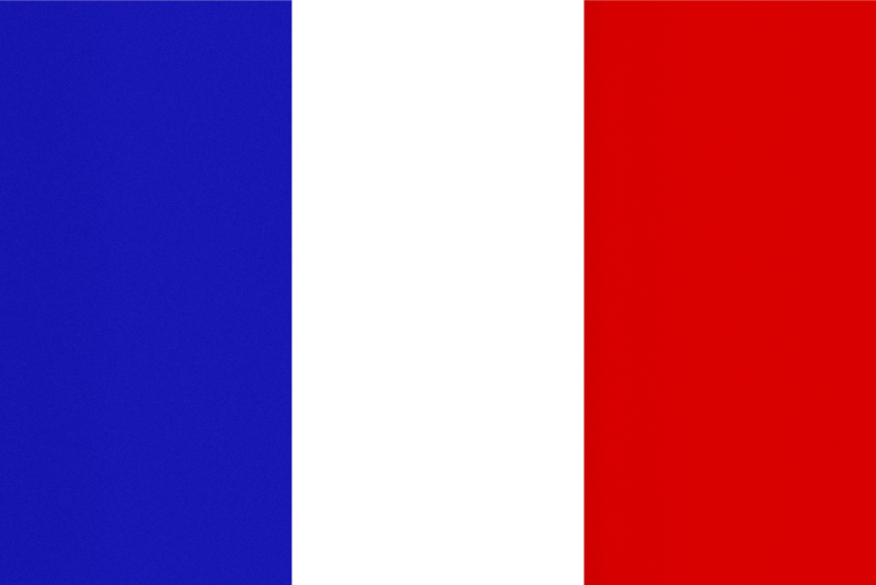 French Plastic Translation Cards
