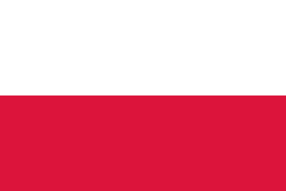 Polish Digital Translation Cards