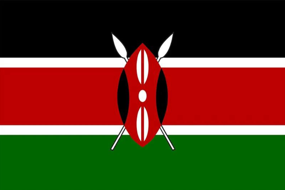 Swahili Digital Translation Cards