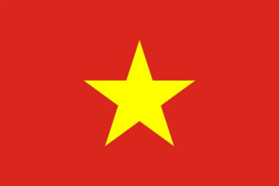Vietnamese Digital Translation Cards