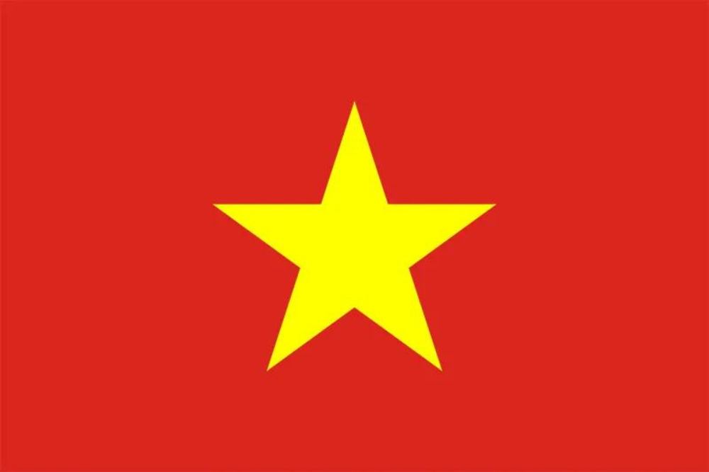 Vietnamese Plastic Translation Cards