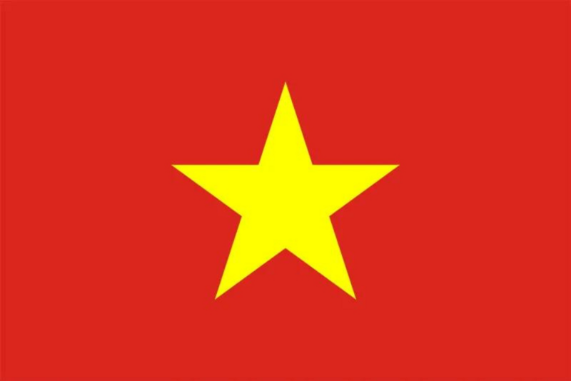 Vietnamese Plastic Translation Cards