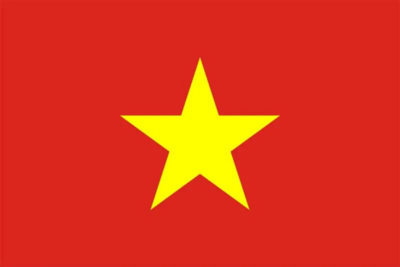 Vietnamese Plastic Translation Cards