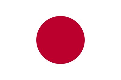 Japanese Plastic Translation Cards