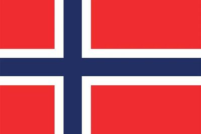 Norwegian Plastic Translation Cards