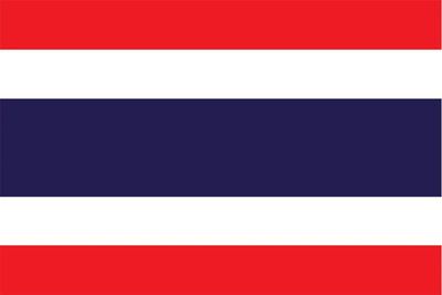 Thai Plastic Translation Cards