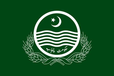 Punjabi Plastic Translation Cards Punjabi Plastic Translation Cards