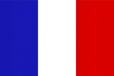 French Plastic Translation Cards