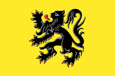 Flemish Plastic Translation Cards