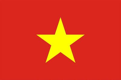 Vietnamese Plastic Translation Cards