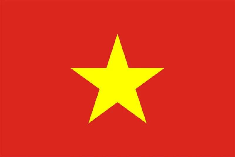 Vietnamese Plastic Translation Cards