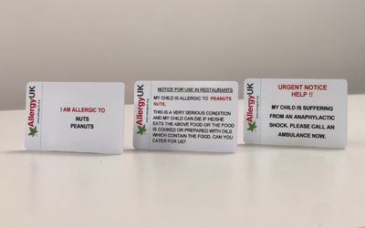 Tamil Plastic Translation Cards