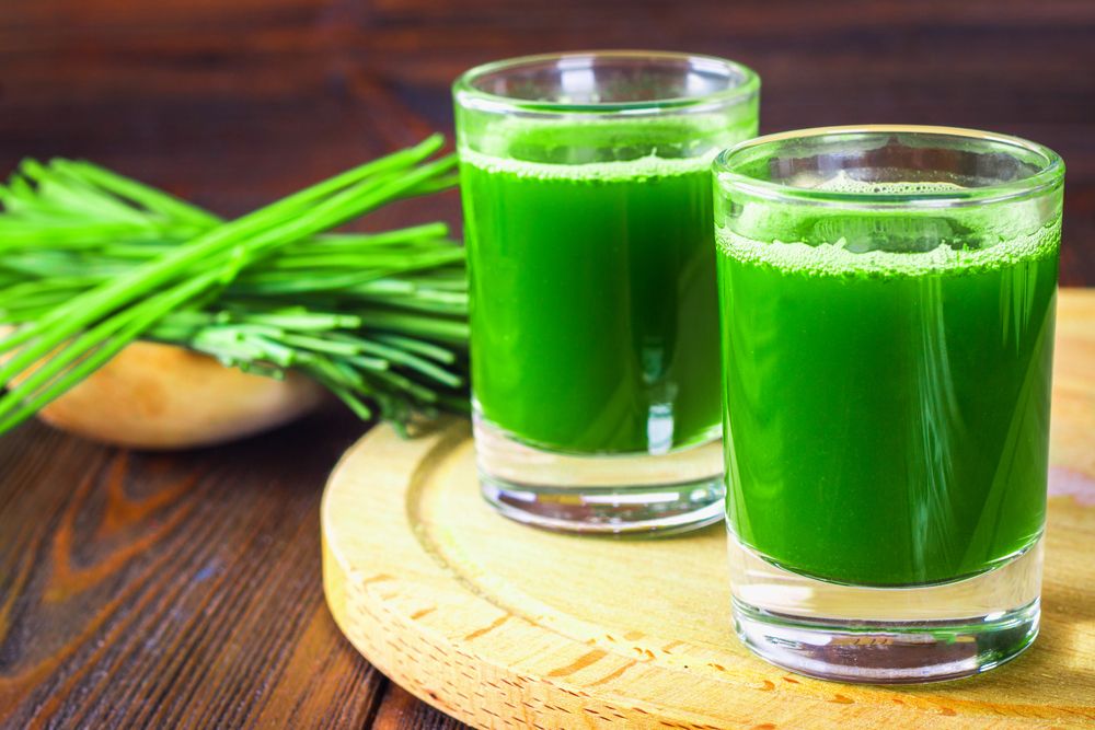 Wheatgrass Frozen Shots EACH