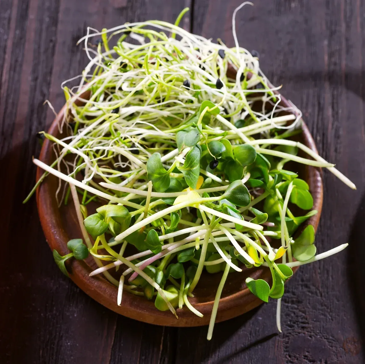 Broccoli Microgreens 1.5 Qt.
