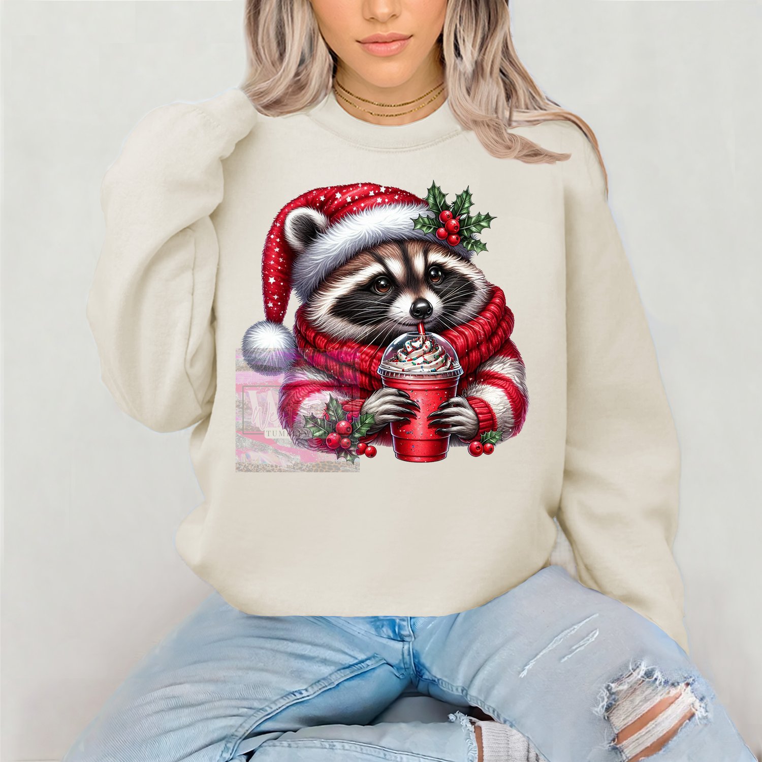 Christmas Raccoon