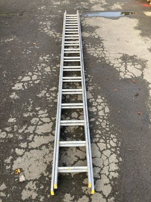 Ladder 30 ft. Double