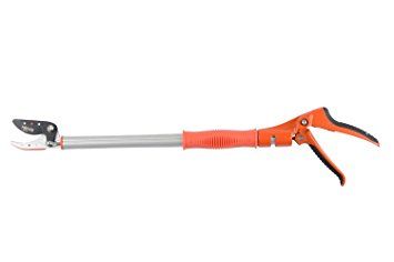 Pruner Short