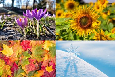 SEASONAL SCENTS