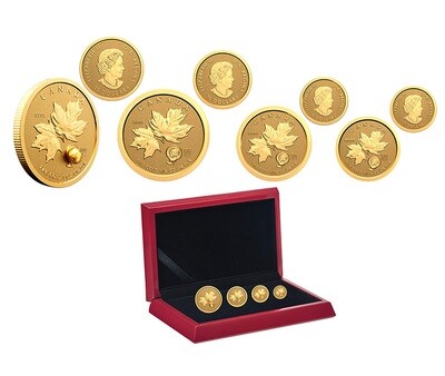 Канада. Елизавета II. 2021. Набор из 4 золотых монет. $50, $10, $5, $1. Серия: 1896-2021. 125 лет Золотой лихорадке на Клондайке. 0.9999 Золото 1.4045 Oz., AGW 43.68 g., KM# PROOF. Mintage: 500 Канада. Елизавета II. 2021. Набор из 4 золотых монет. $50, $10, $5, $1. Серия: 1896-2021. 125 лет Золотой лихорадке на Клондайке. 0.9999 Золото 1.4045 Oz., AGW 43.68 g., KM# PROOF. Mintage: 500