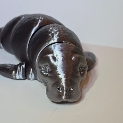 Mango The Manatee Fidget-6 inch
